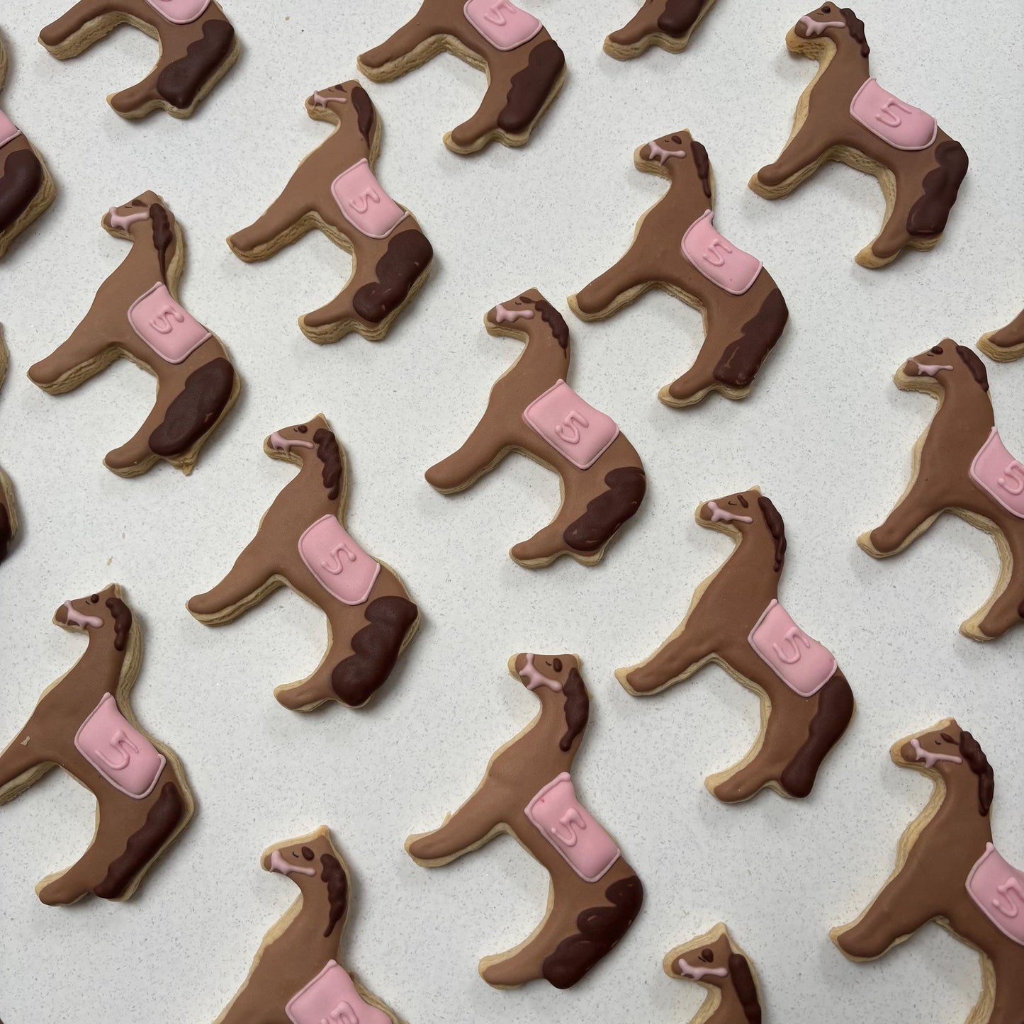 Horse cookies | Pony Biscuits | Party Favours | Equestrian gift